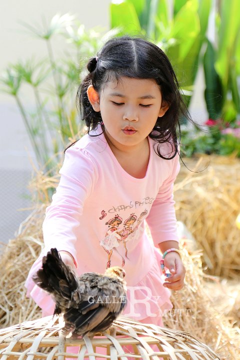 IMG_2548 c.jpg